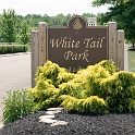 01White Tail Park Montville Duchek 2715